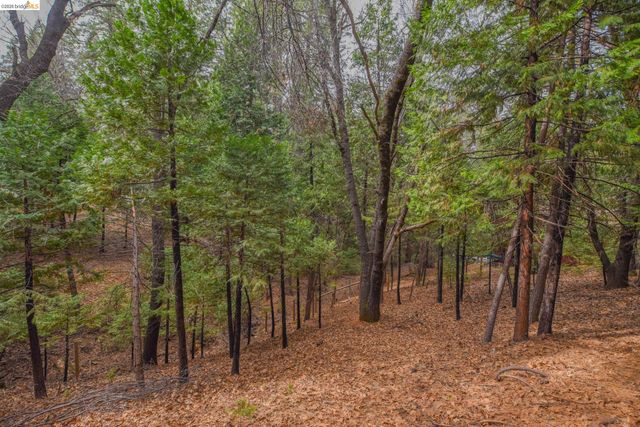 24132 Awahanee Rd, Sonora, CA 95370