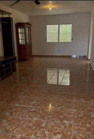 PR 670 KM.6.2 INTERIOR Lot.6, Vega Baja, PR 00693