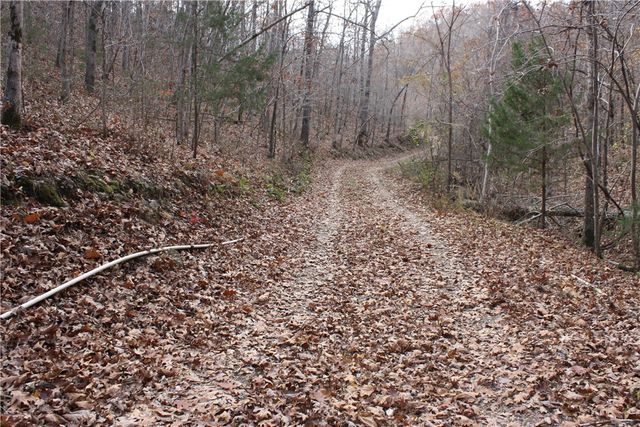 2516 Marion County 8001, Yellville, AR 72687