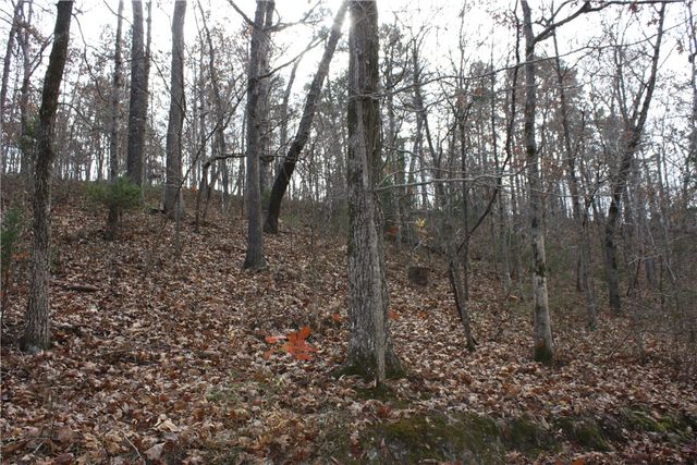 2516 Marion County 8001, Yellville, AR 72687