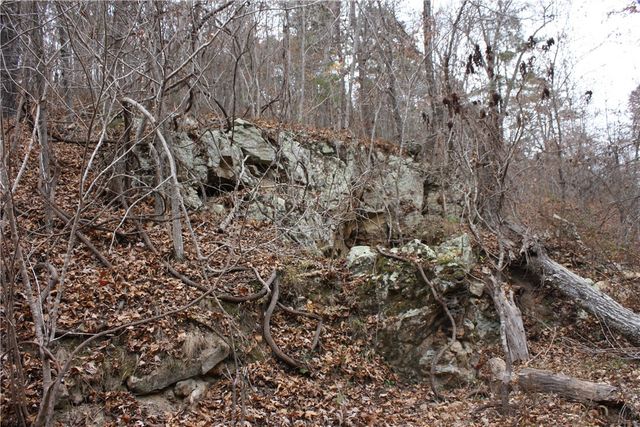 2516 Marion County 8001, Yellville, AR 72687