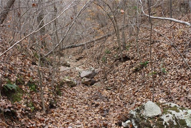 2516 Marion County 8001, Yellville, AR 72687