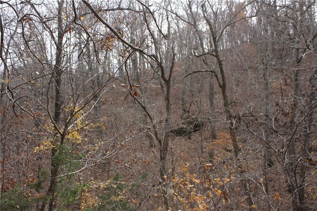 2516 Marion County 8001, Yellville, AR 72687