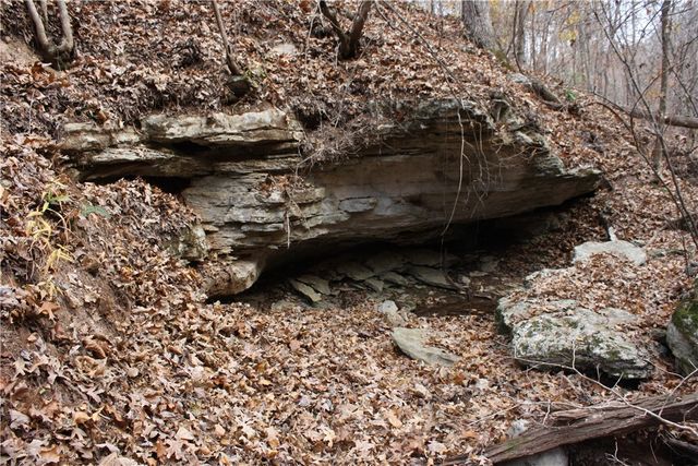 2516 Marion County 8001, Yellville, AR 72687