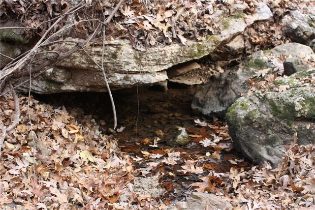 2516 Marion County 8001, Yellville, AR 72687