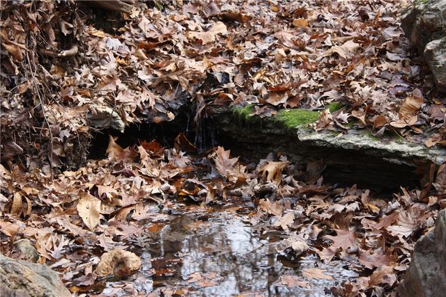 2516 Marion County 8001, Yellville, AR 72687