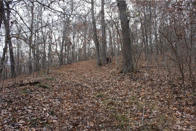 2516 Marion County 8001, Yellville, AR 72687