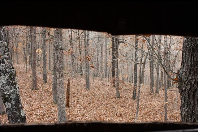 2516 Marion County 8001, Yellville, AR 72687