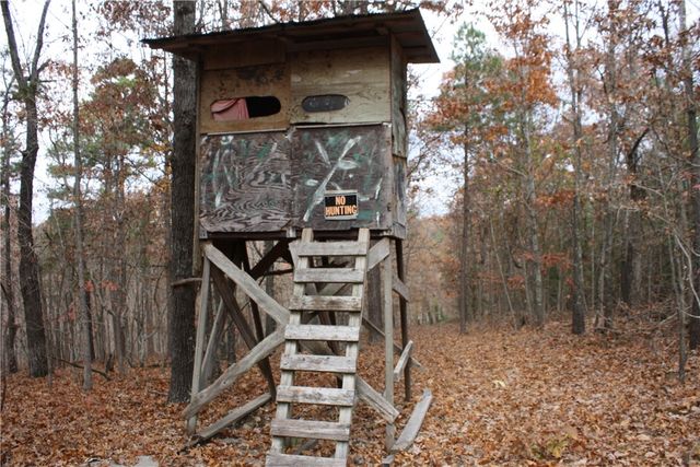 2516 Marion County 8001, Yellville, AR 72687