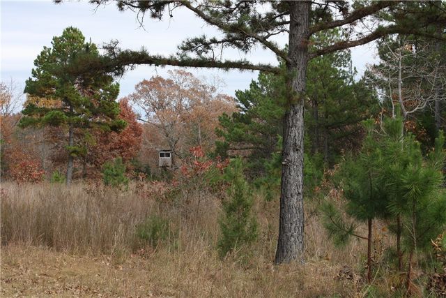 2516 Marion County 8001, Yellville, AR 72687