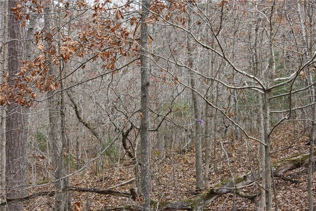 2516 Marion County 8001, Yellville, AR 72687