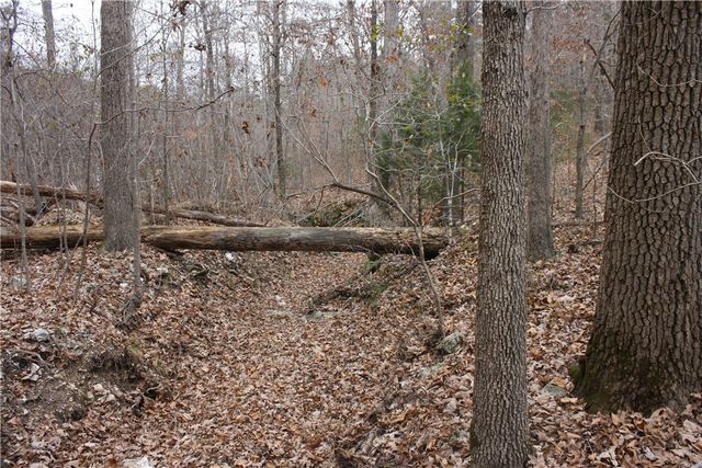 2516 Marion County 8001, Yellville, AR 72687