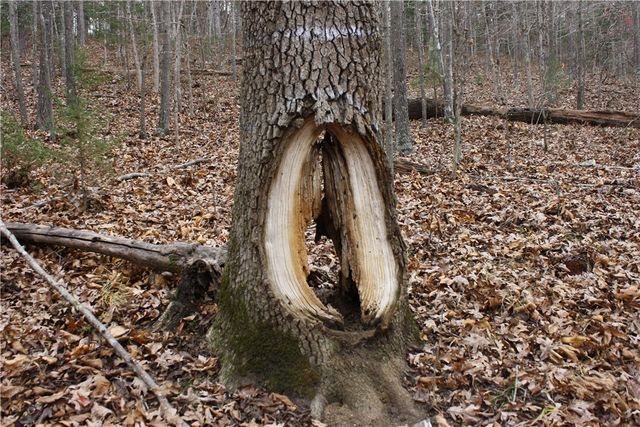 2516 Marion County 8001, Yellville, AR 72687