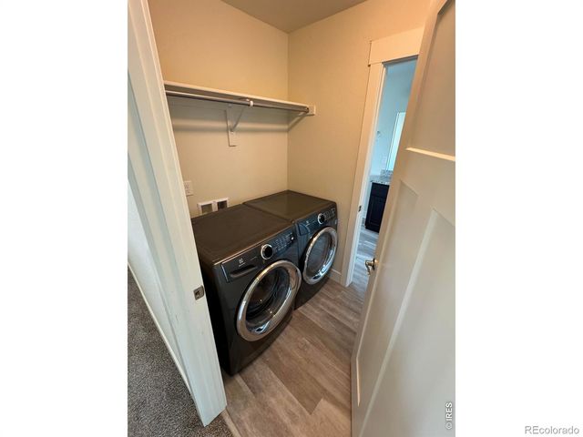 1279 Baker Pass Street, Severance, CO 80550