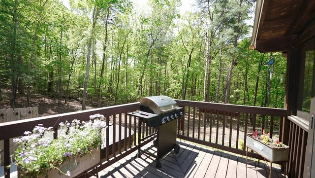210 Shade Tree Lane, Mineral Bluff, GA 30559