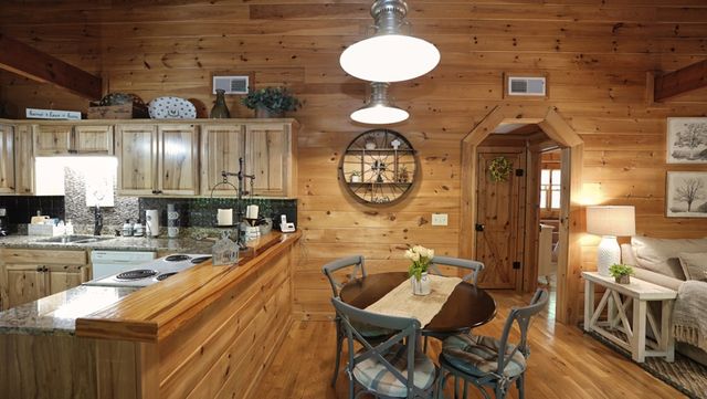 210 Shade Tree Lane, Mineral Bluff, GA 30559