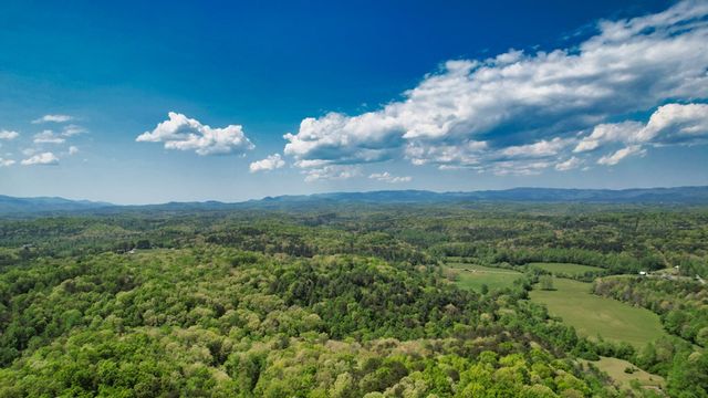 210 Shade Tree Lane, Mineral Bluff, GA 30559