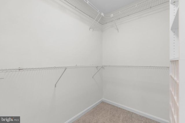 8003 CARLSON, Baltimore, MD 21244