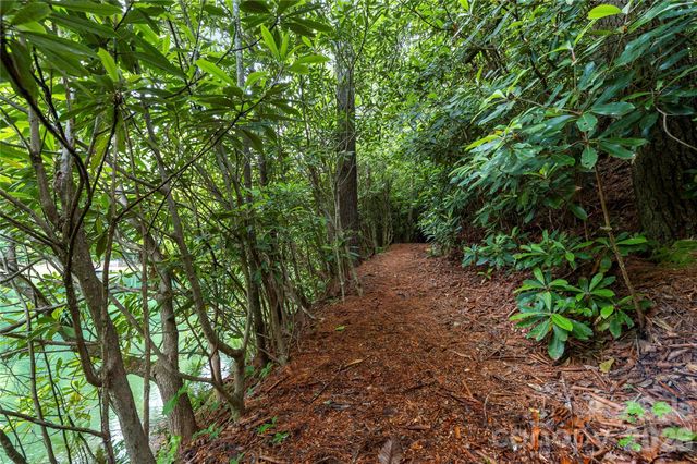 68 Huckleberry Ridge Lane, Zirconia, NC 28790