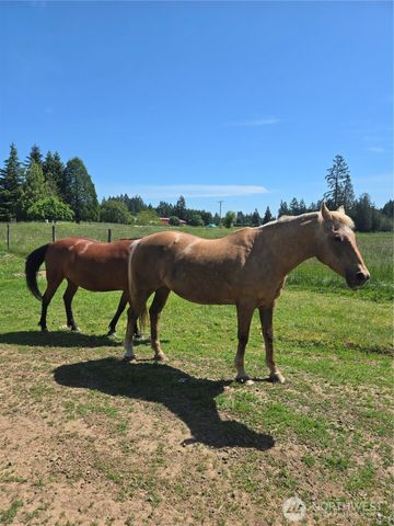 205 Nikula Road, Winlock, WA 98596
