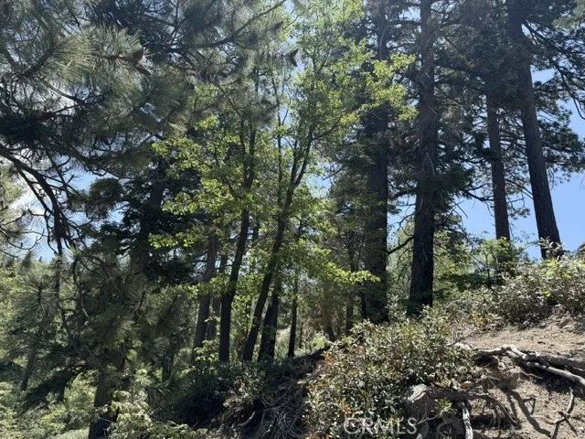 33285 Angeles, Green Valley Lake, CA 92341