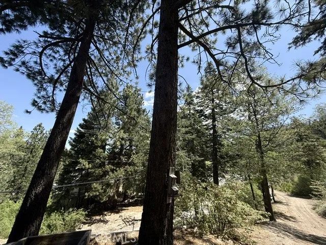 33285 Angeles, Green Valley Lake, CA 92341