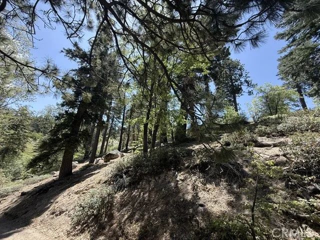 33285 Angeles, Green Valley Lake, CA 92341