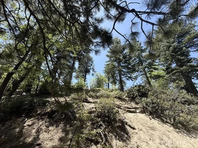 33285 Angeles, Green Valley Lake, CA 92341