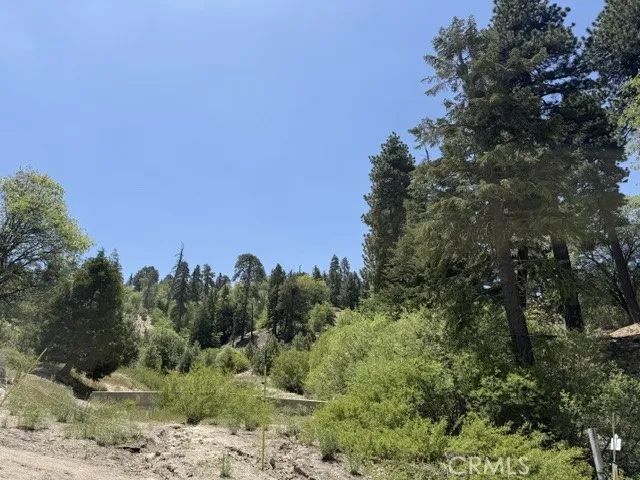 33285 Angeles, Green Valley Lake, CA 92341