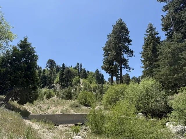 33285 Angeles, Green Valley Lake, CA 92341