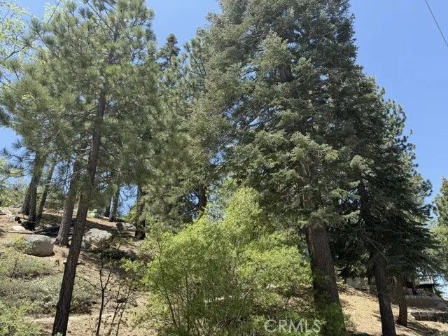 33285 Angeles, Green Valley Lake, CA 92341