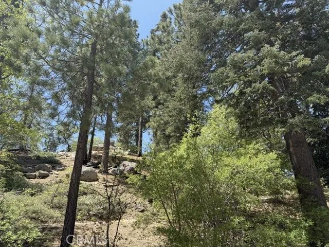 33285 Angeles, Green Valley Lake, CA 92341