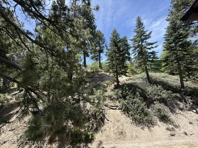 33285 Angeles, Green Valley Lake, CA 92341