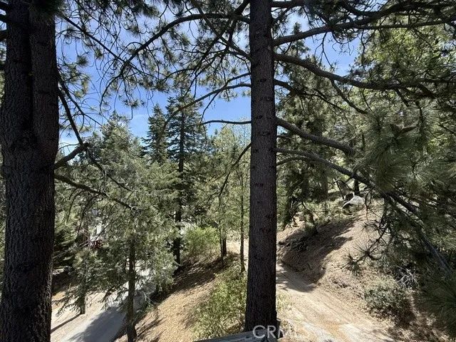 33285 Angeles, Green Valley Lake, CA 92341