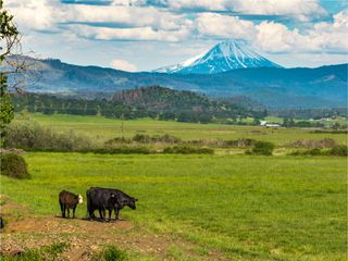 0 Reese Creek Road, Eagle Point, OR 97524