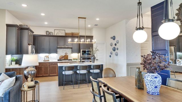 13521 Wandering Rhett DR, Elgin, TX 78621