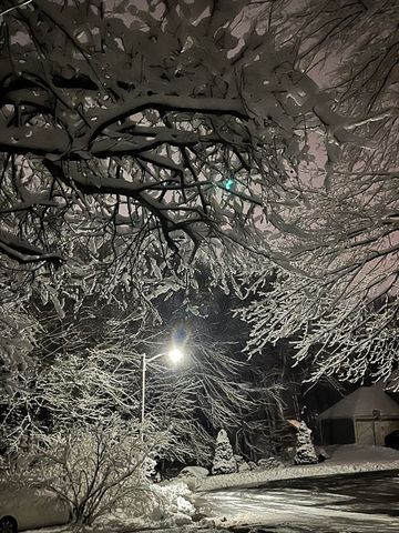 47 Park St, Shrewsbury, MA 01545