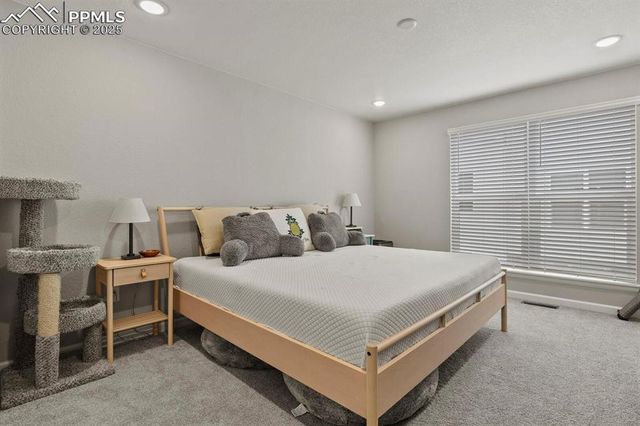 3439 Berg Point, Colorado Springs, CO 80907