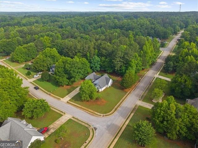 300 Cobb Court, Hampton, GA 30228