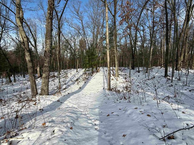 5320 Old State Road, Grant Twp, MI 48748