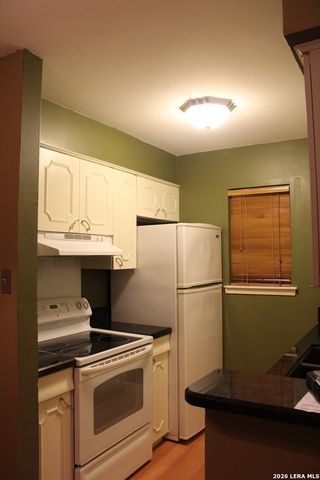 1045 Shook Ave Apt 113, San Antonio, TX 78212