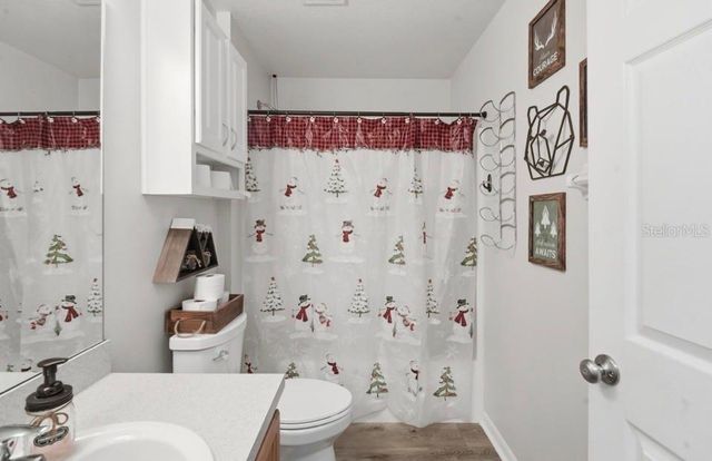 656 SWAN RANGE ROAD, Orange City, FL 32763