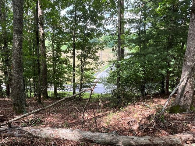 71 Martin Hills Drive, Murphy, NC 28906