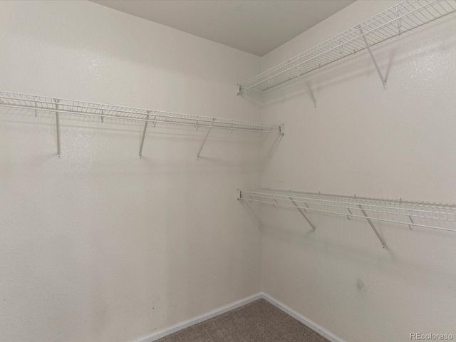 1811 Canvasback Drive, Johnstown, CO 80534