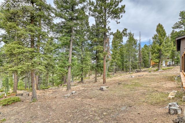 1275 Blossom Road, Woodland Park, CO 80863