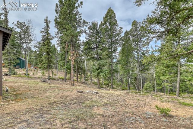 1275 Blossom Road, Woodland Park, CO 80863