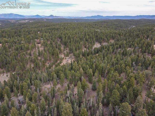 1275 Blossom Road, Woodland Park, CO 80863