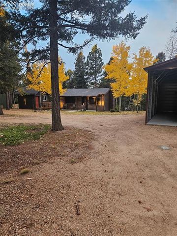 1275 Blossom Road, Woodland Park, CO 80863