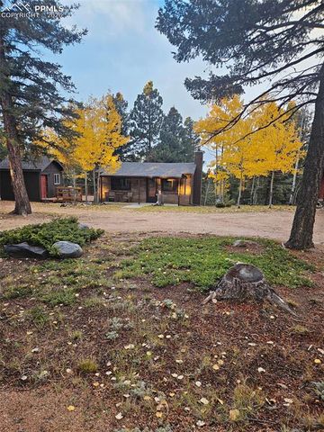 1275 Blossom Road, Woodland Park, CO 80863