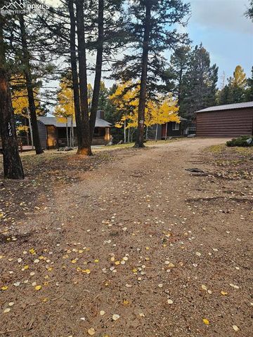 1275 Blossom Road, Woodland Park, CO 80863